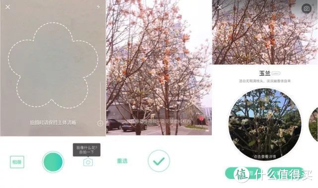 春天花会开，好用的拍照APP也要down下来