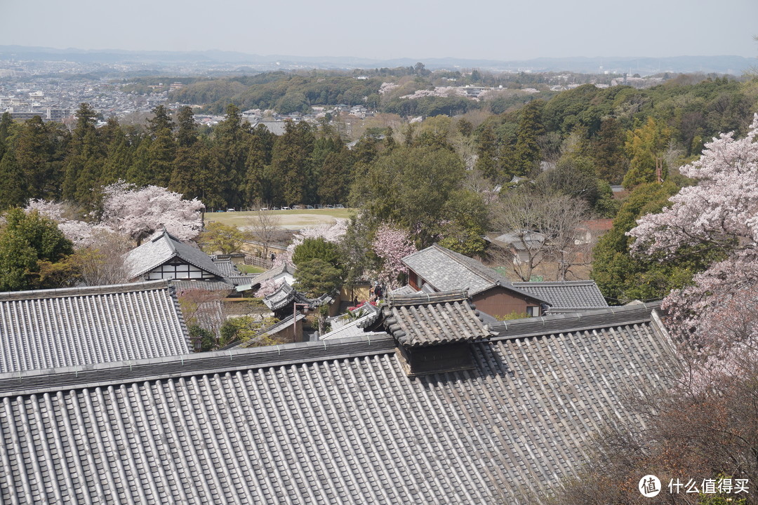 从寺上看下面的奈良