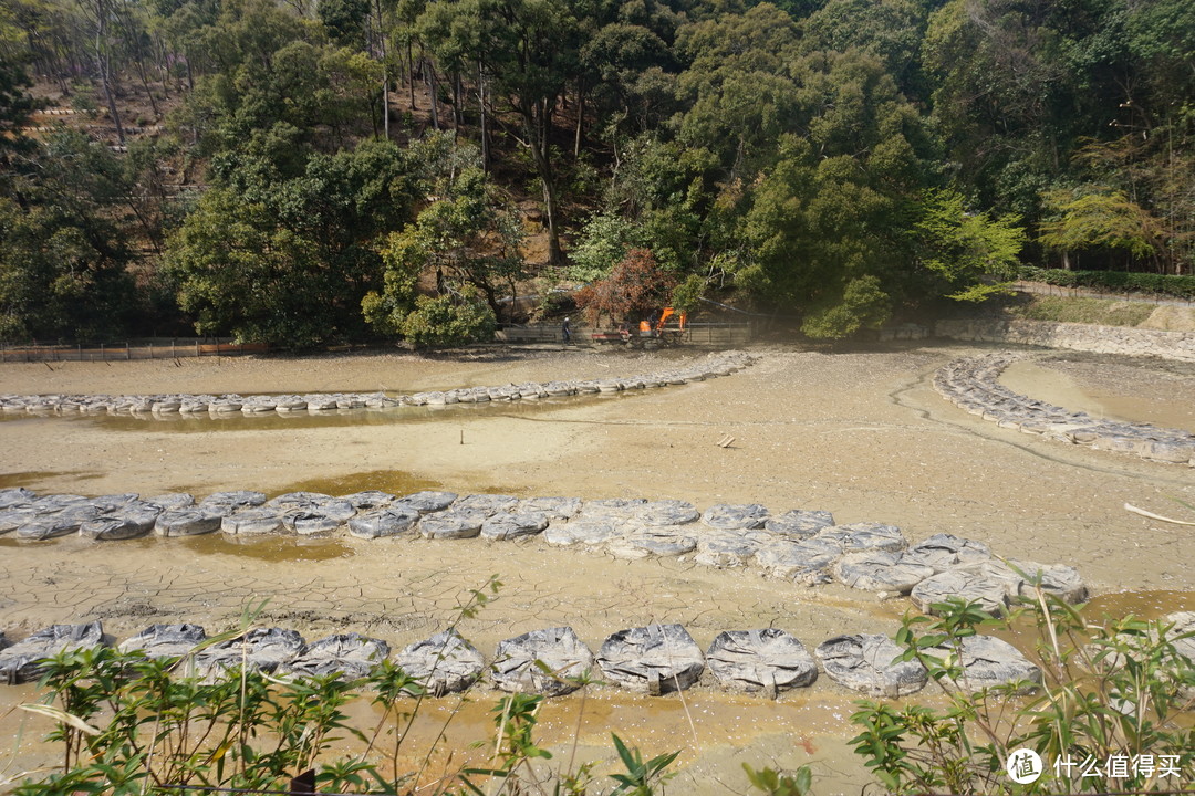 往常寂光寺路上的湖水已经没有了