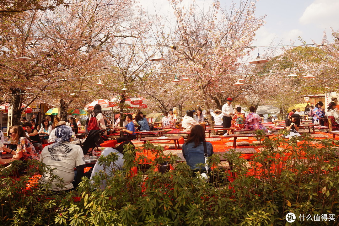 #剁主计划-广州#一个人的旅行：一个广东吃货的日本关西地区（大阪、京都、奈良）樱花季8日自由行（附关西地区行程规划路线和交通详细讲解攻略）