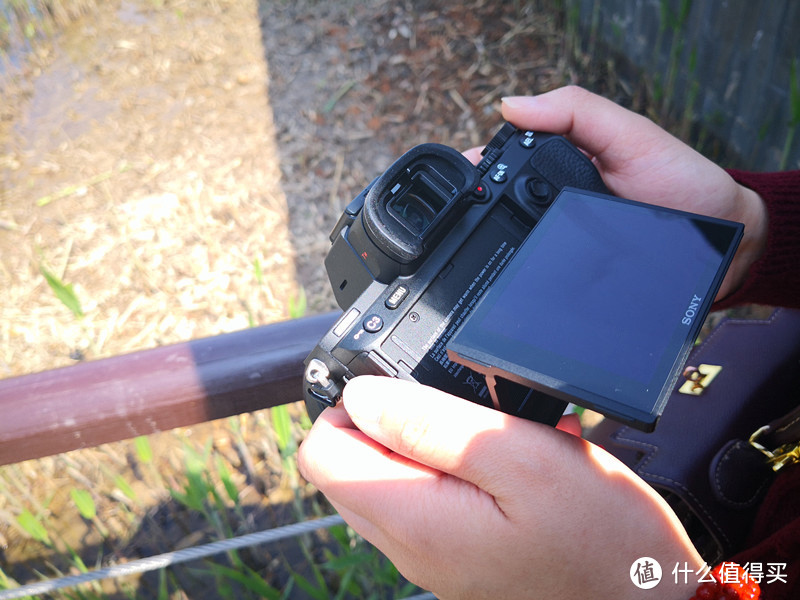 一个佳能党眼中的SONY 索尼 A7M3(ILCE-7M3)：索尼新款微单相机入手小评