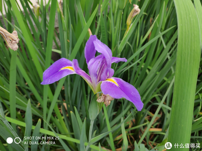 小米MIX 2S 深度评测 | 骁龙845、全面屏2.0、AI双摄真的好用吗？