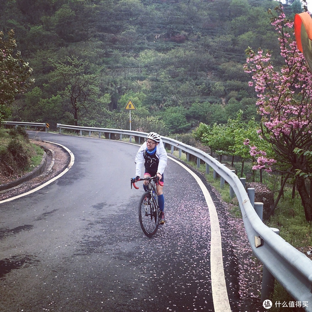 樱花落如雪：四明山七彩白鹿小环线骑游记