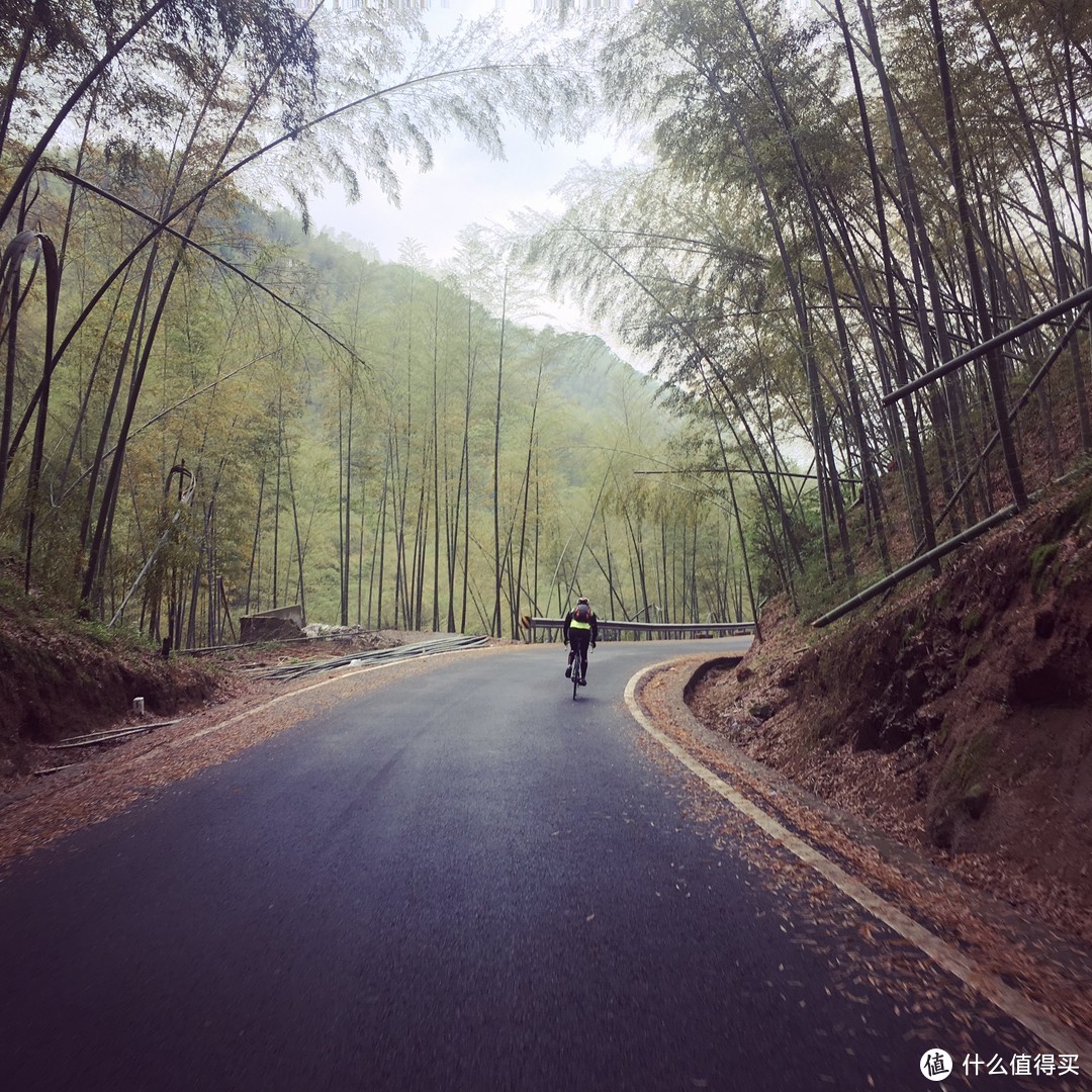 樱花落如雪：四明山七彩白鹿小环线骑游记