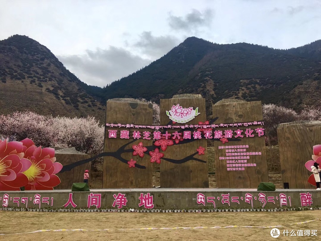 不为朝圣，只为美景！小女子西藏林芝赏花之旅（大量美图和经验）