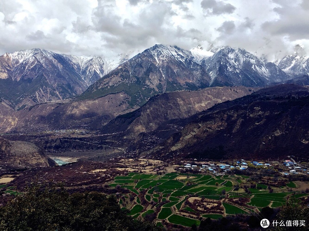 不为朝圣，只为美景！小女子西藏林芝赏花之旅（大量美图和经验）