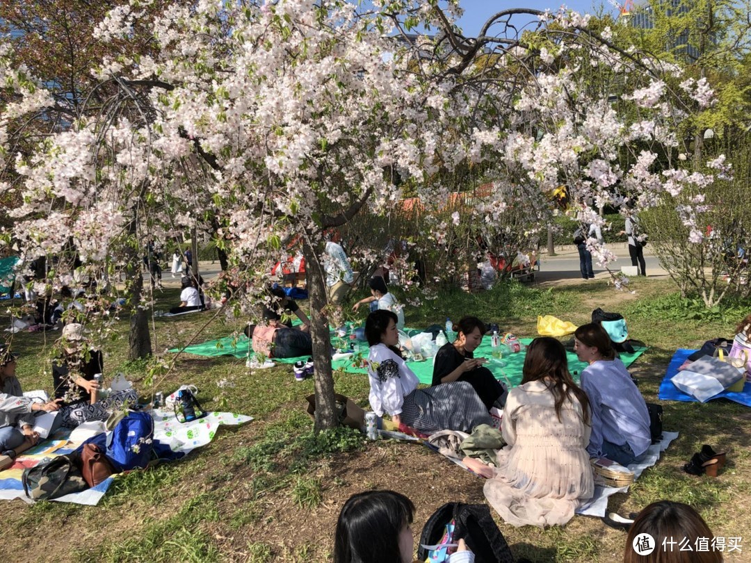 坐在樱花树下吃吃喝喝的男男女女