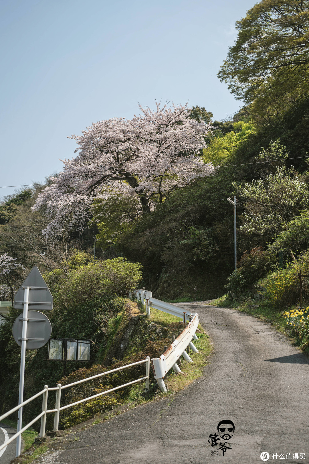 九州本州关西樱花温泉寺庙之旅