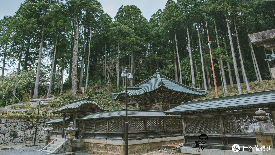 九州本州关西樱花温泉寺庙之旅