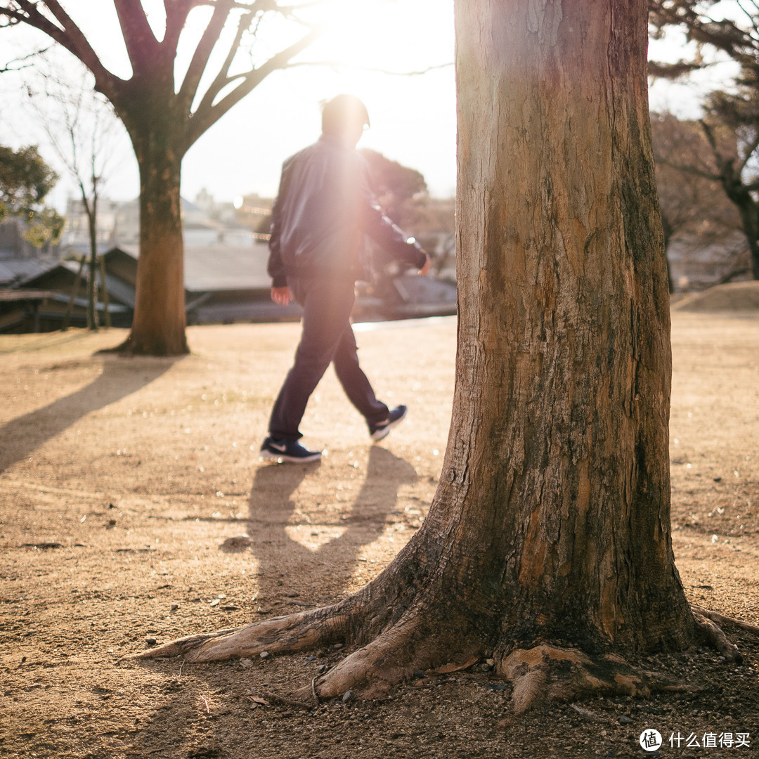 临时起意抓起相机，及时地对焦抓住了瞬间