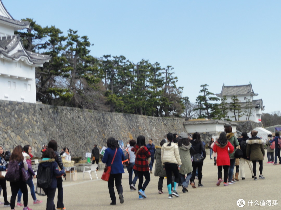 3月日本名古屋跑马拉松游记