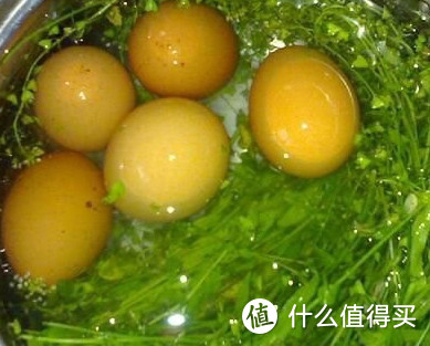 三月三，从荠菜煮鸡蛋说荠菜