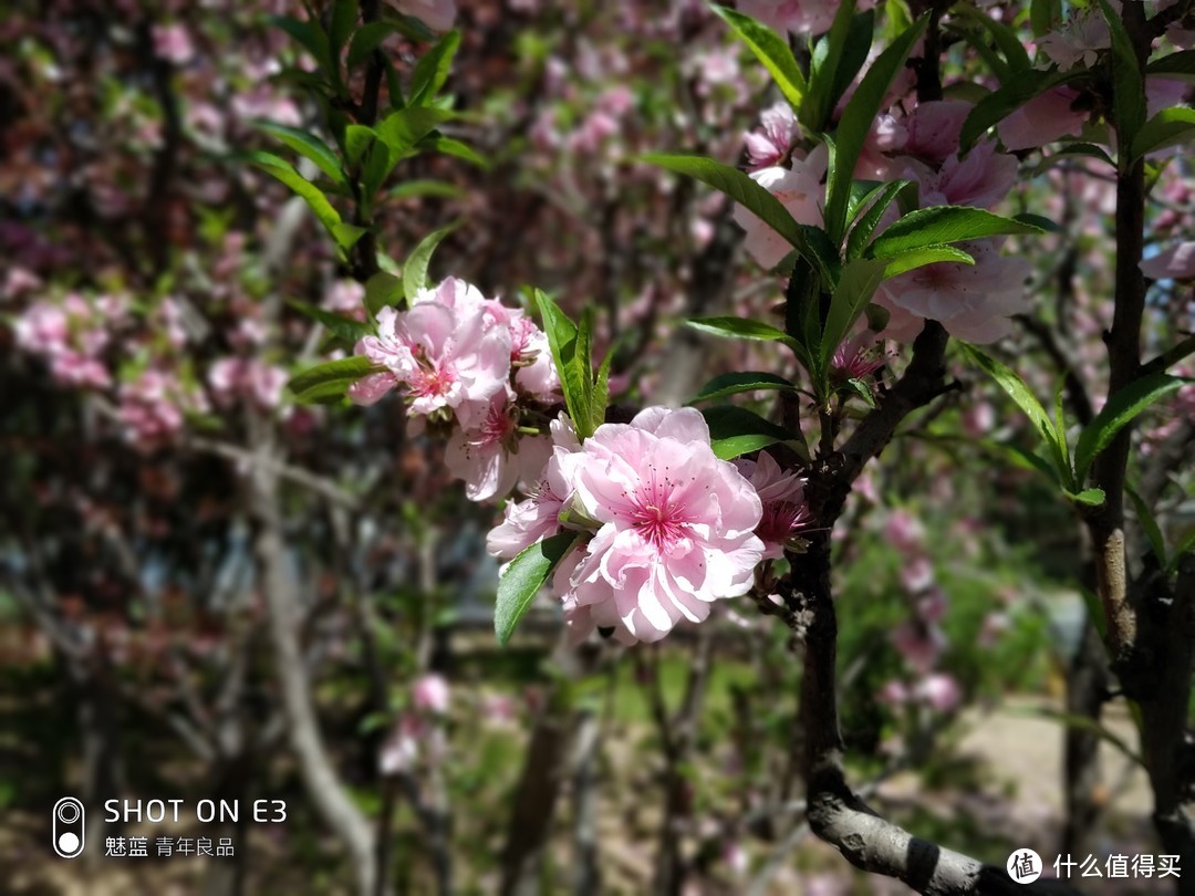 性能均衡，拍照还行—Meizu 魅族 魅蓝E3 智能手机 上手体验