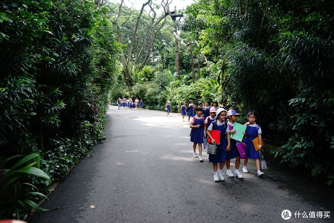 暴走狮城—新加坡六日旅行笔记