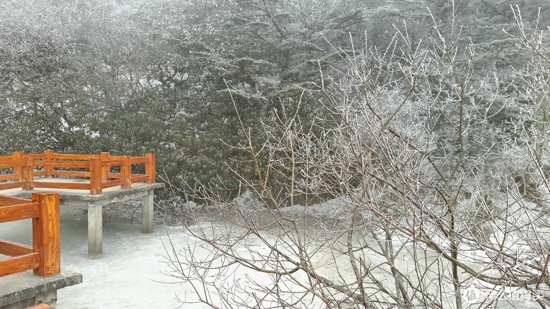 记成都春节四日“魔鬼”行程经济游食住行—完全攻略