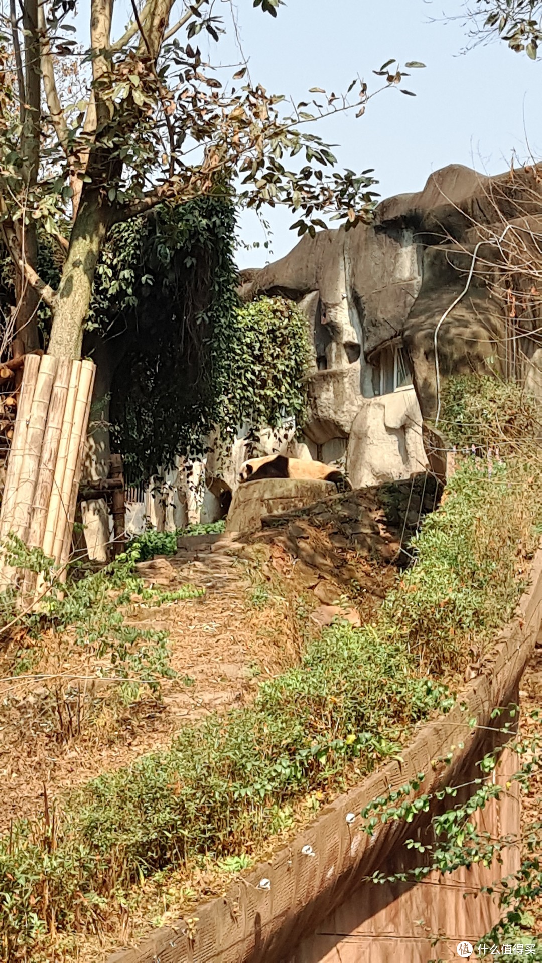 记成都春节四日“魔鬼”行程经济游食住行—完全攻略