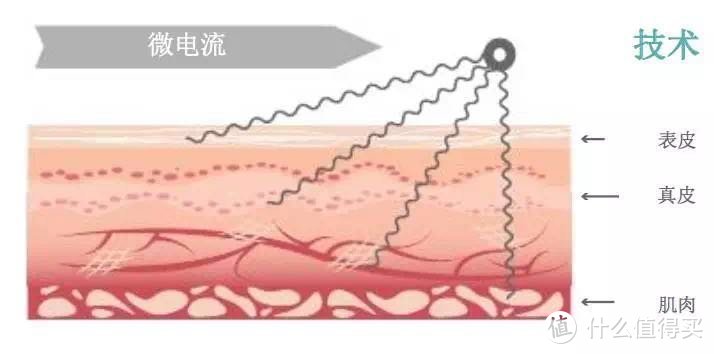 对抗肉松，露腿季我的吸睛法宝：健身、美体仪、护肤品一个都不能少