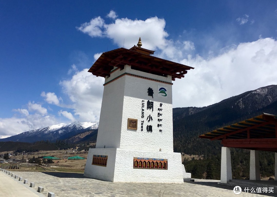 不为朝圣，只为美景！小女子西藏林芝赏花之旅（大量美图和经验）