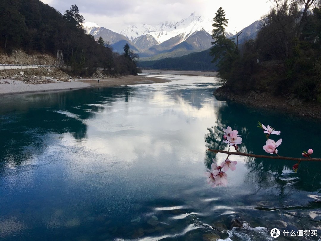 不为朝圣，只为美景！小女子西藏林芝赏花之旅（大量美图和经验）