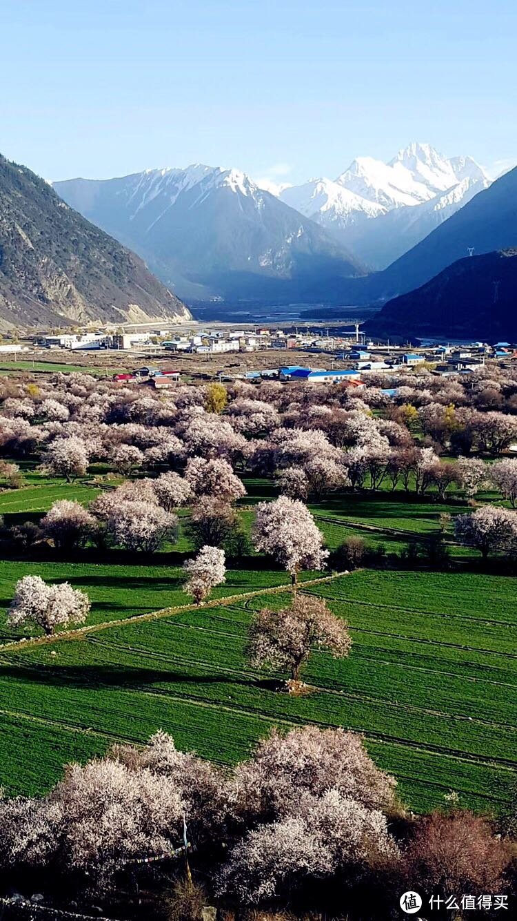 不为朝圣，只为美景！小女子西藏林芝赏花之旅（大量美图和经验）