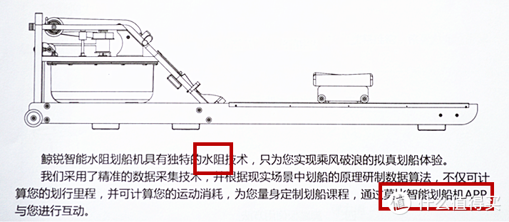 用过就后悔，怎么没早买！— 鲸锐智能划船机深度体验