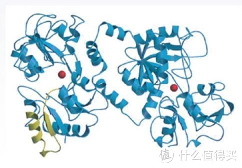 想成为一个选购婴儿配方奶粉的老司机，你需要先看懂配方和成分！