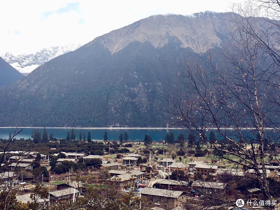 不为朝圣，只为美景！小女子西藏林芝赏花之旅（大量美图和经验）