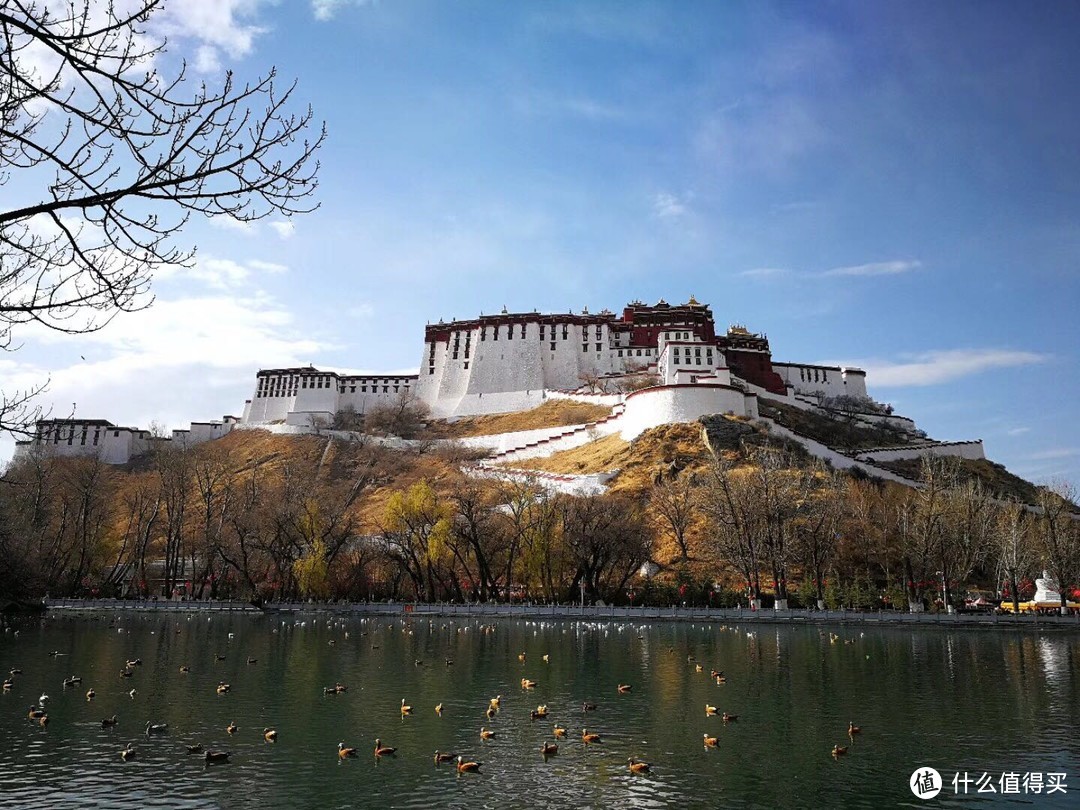 不为朝圣，只为美景！小女子西藏林芝赏花之旅（大量美图和经验）