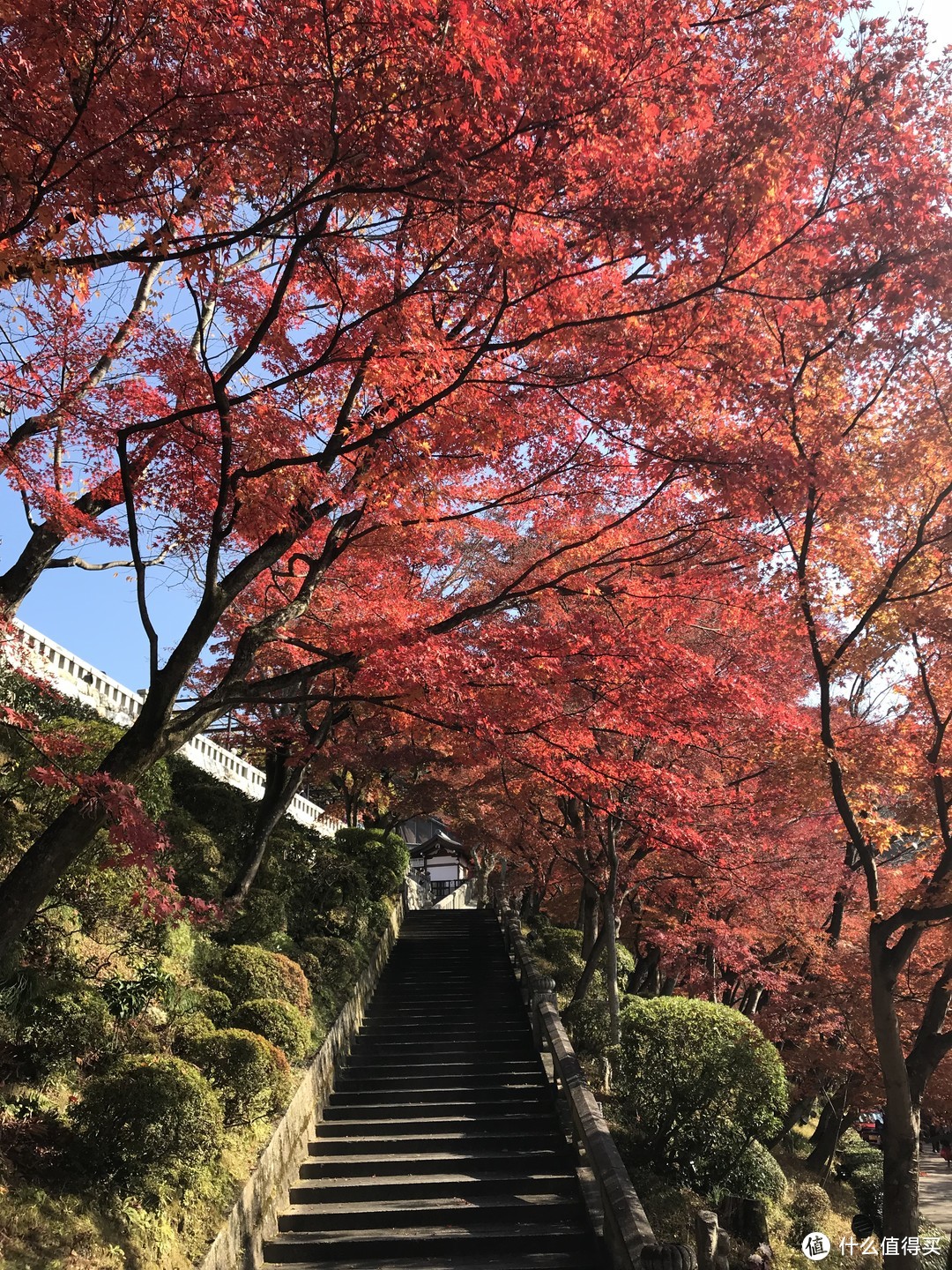 五一假期太短？十一假期去日本吧！红叶季游大阪、奈良、京都攻略收好！