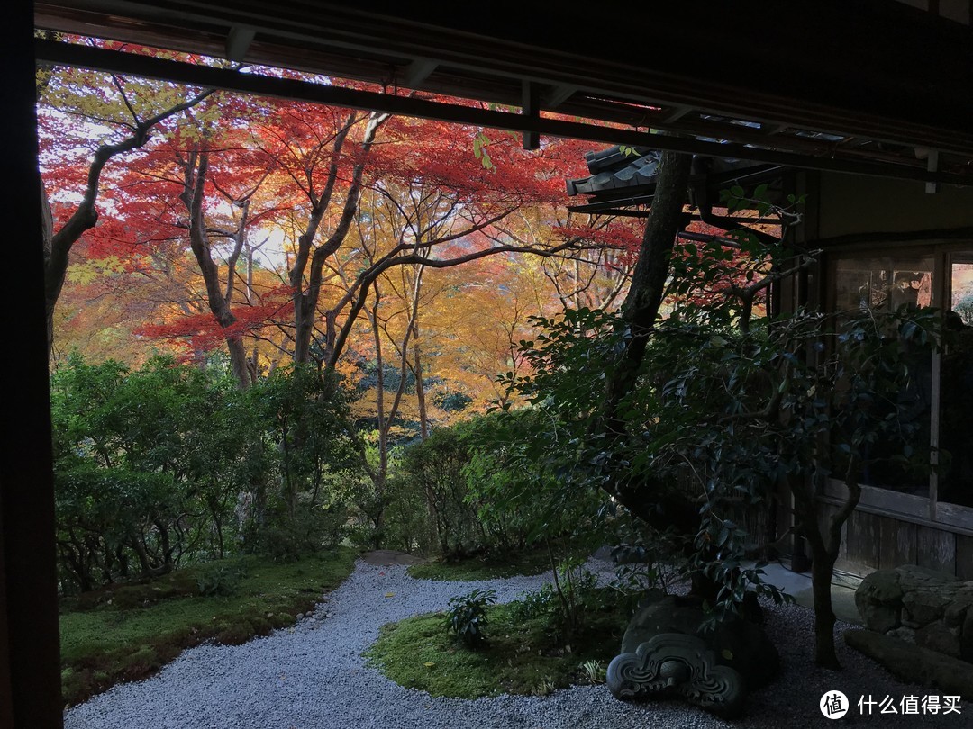 五一假期太短？十一假期去日本吧！红叶季游大阪、奈良、京都攻略收好！