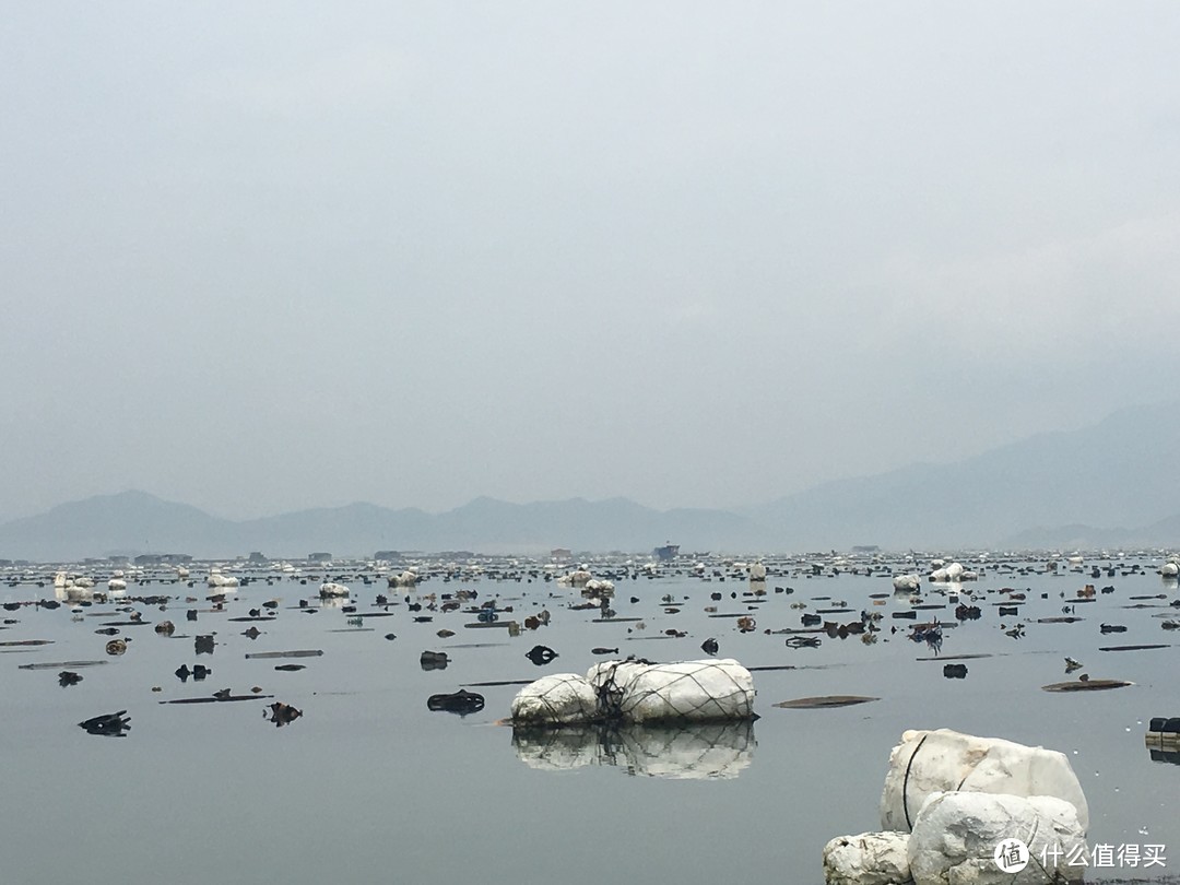 这个周末，赴一场关于美食之旅的约