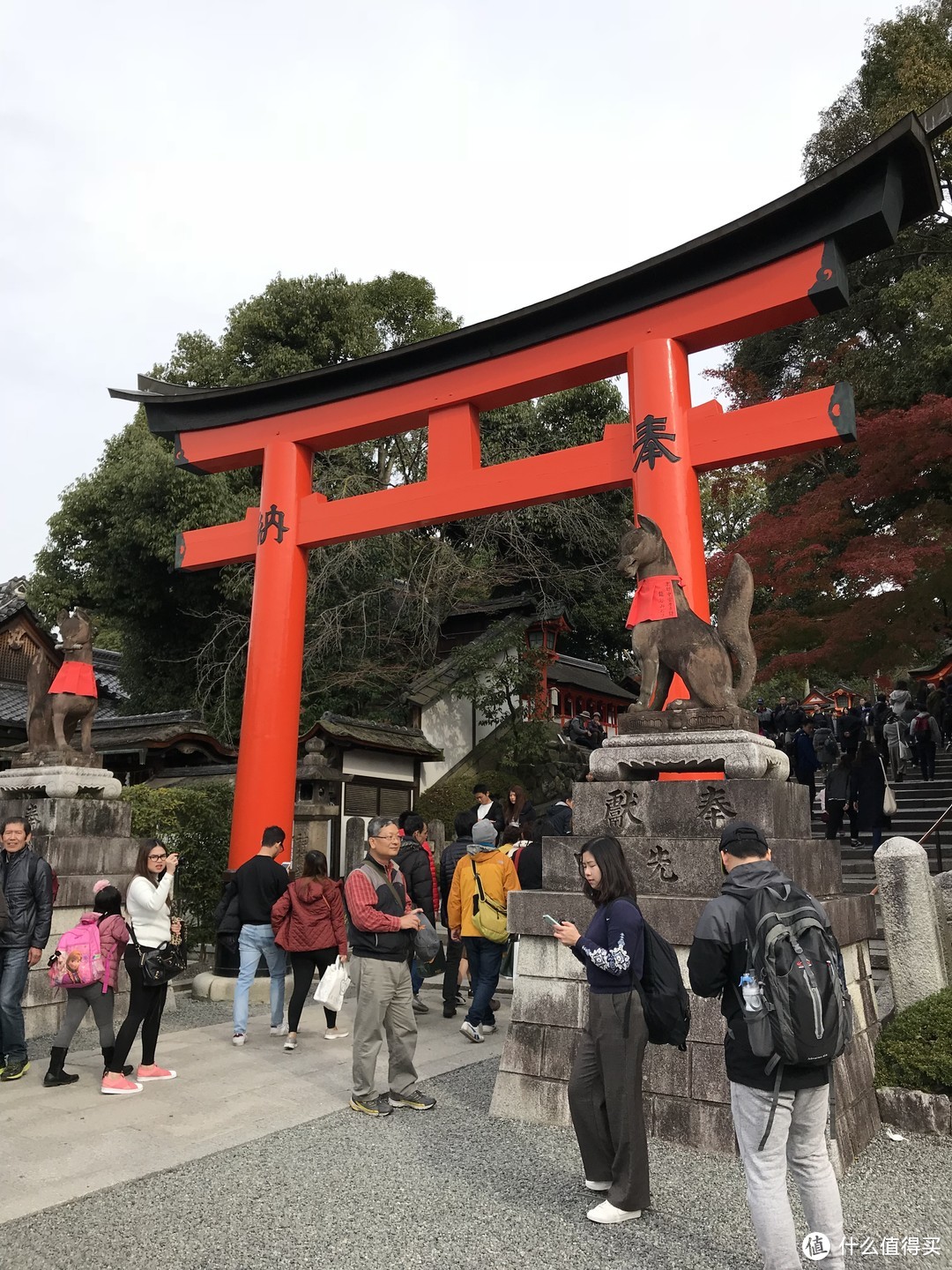 五一假期太短？十一假期去日本吧！红叶季游大阪、奈良、京都攻略收好！