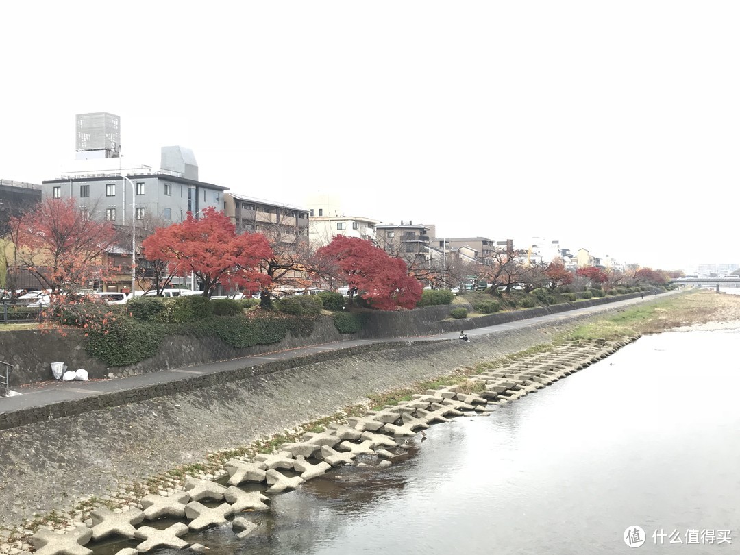 五一假期太短？十一假期去日本吧！红叶季游大阪、奈良、京都攻略收好！