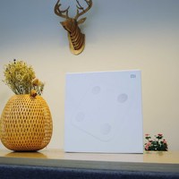 小米 XMTZC02HM 体脂秤外观展示(材质|电极片|脚垫)