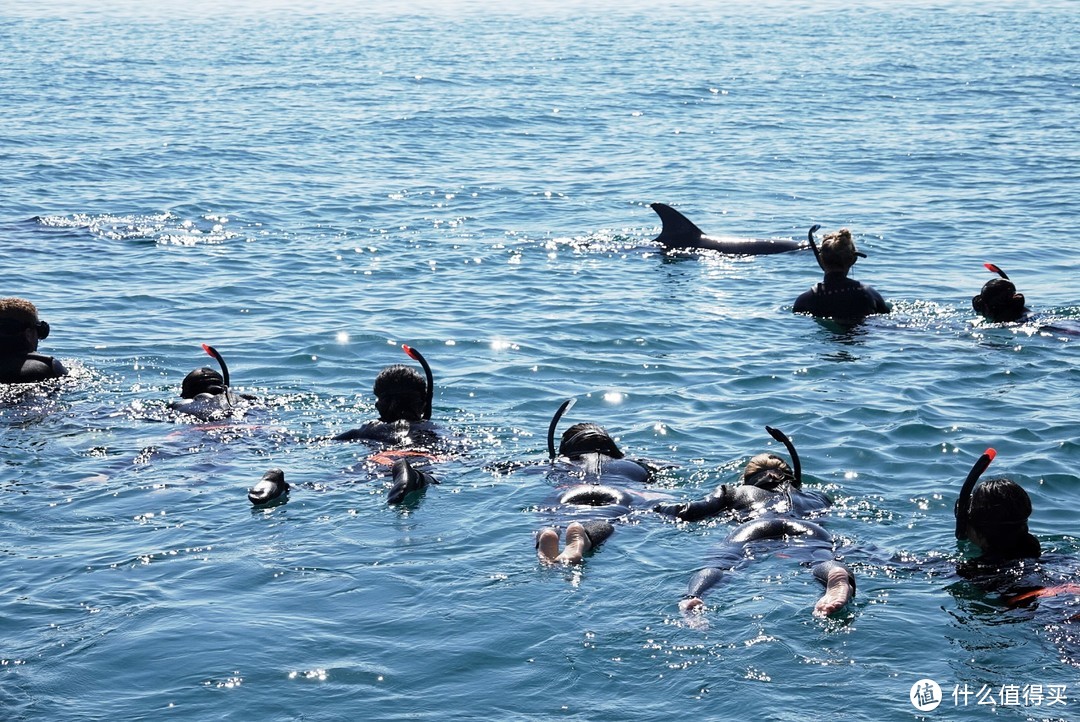 上天 ，入地， 下海的西澳之旅：十大挑战了解一下！