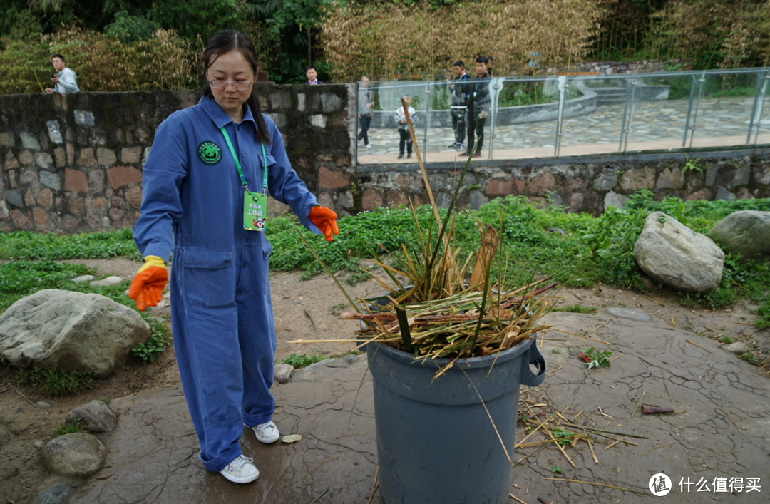 据说是史上最新幸福的职业？我的国宝铲屎官体验日记