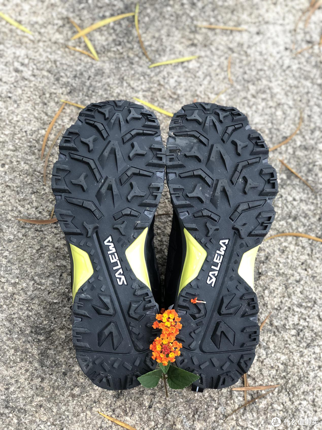 SALEWA  沙乐华 SWFFG81002 越野跑鞋 测评