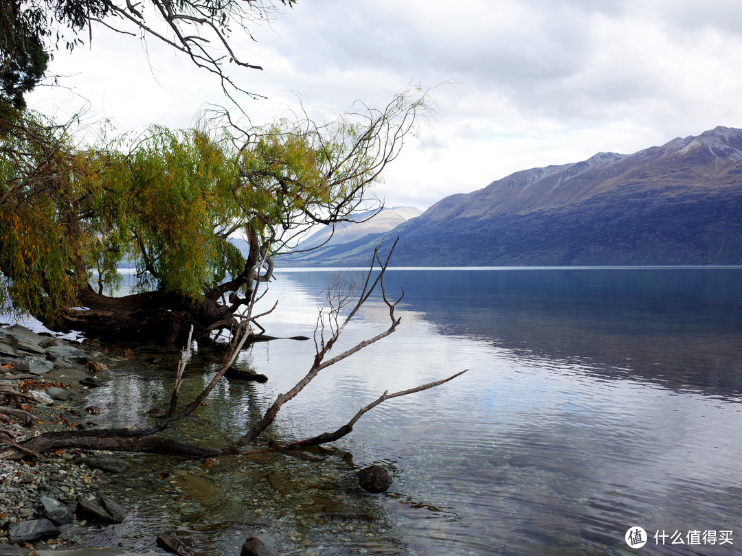 新西兰小半个南岛：Queenstown—Christchurch自驾之旅