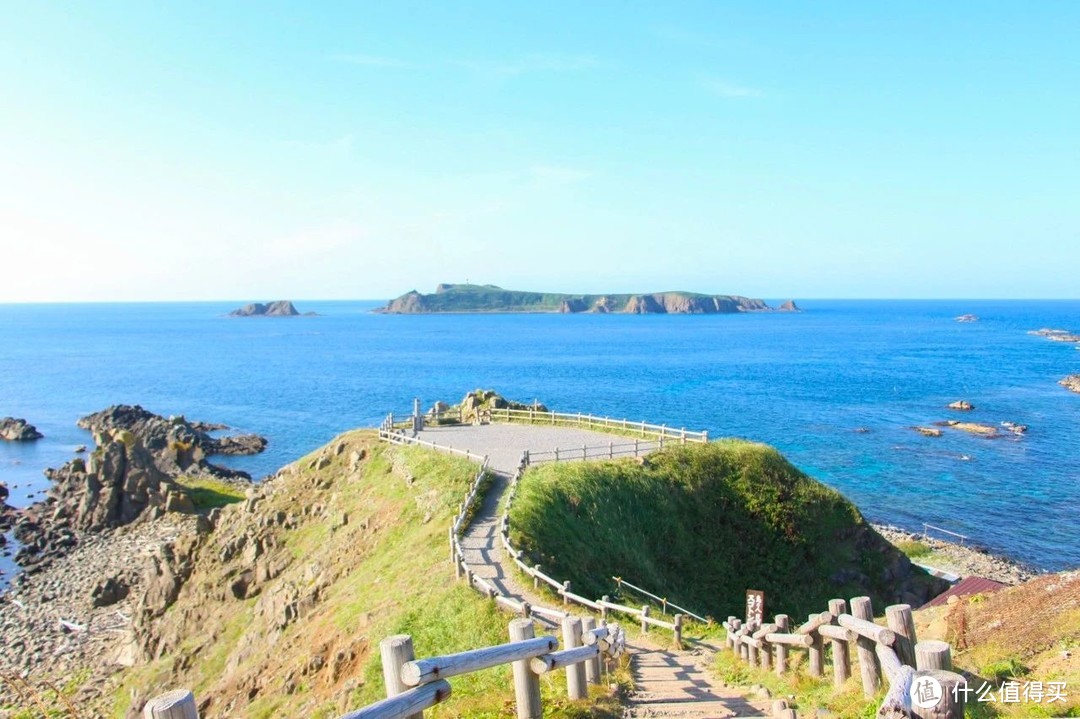 粉红花海，白色风车，全球最美的夏天可能只在北海道