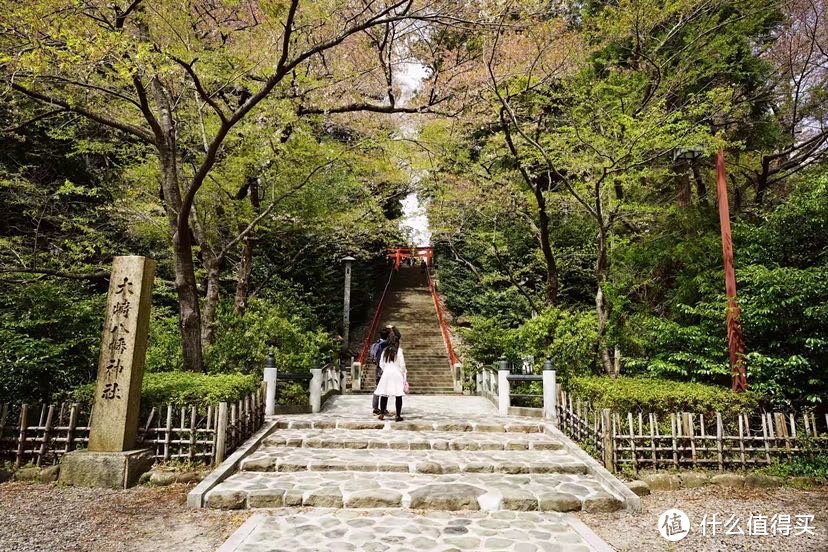 今年花开正春天：日本东北赏樱美食之旅