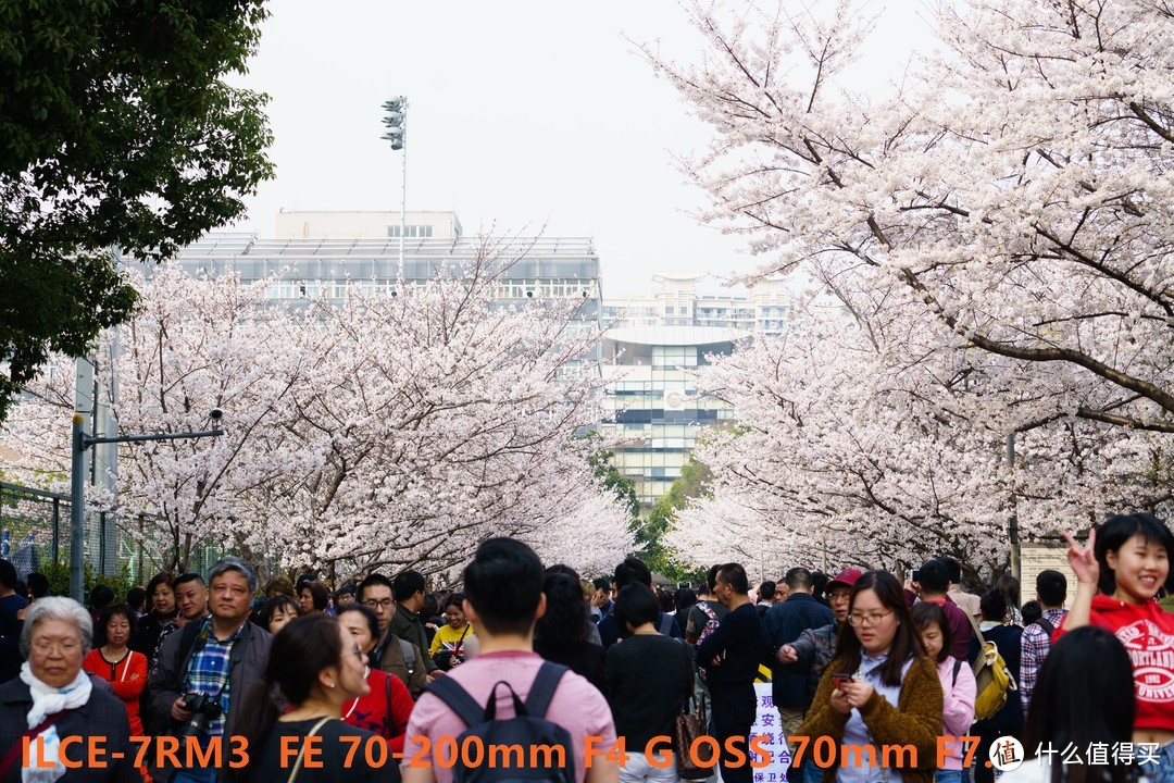 买镜头之前何不试试镜头租赁？附SONY 索尼 FE70-200F4 镜头试用感受