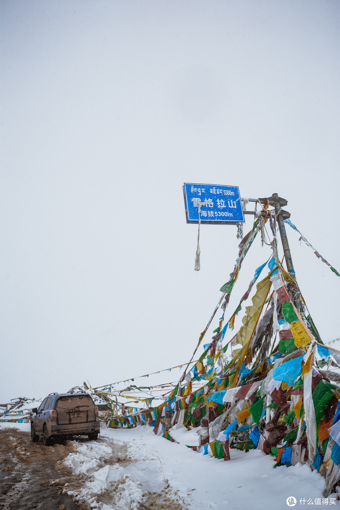 从日喀则、纳木措到昆仑山，我的青海行