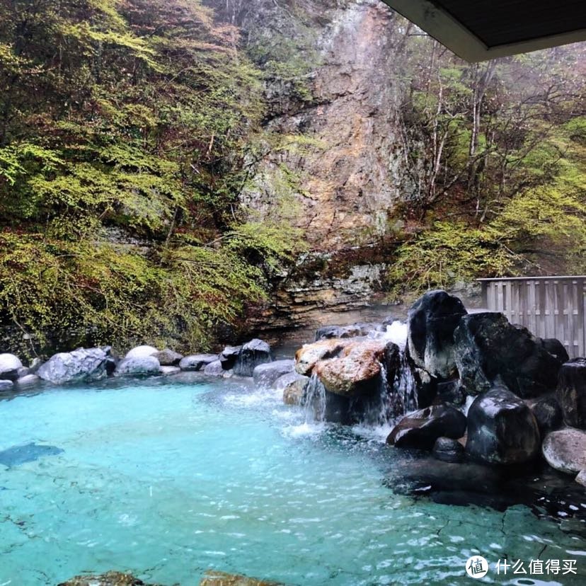 今年花开正春天：日本东北赏樱美食之旅