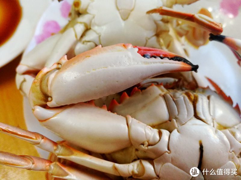 最细缚绳娘！螃蟹如何挑如何吃最能挑逗味蕾？