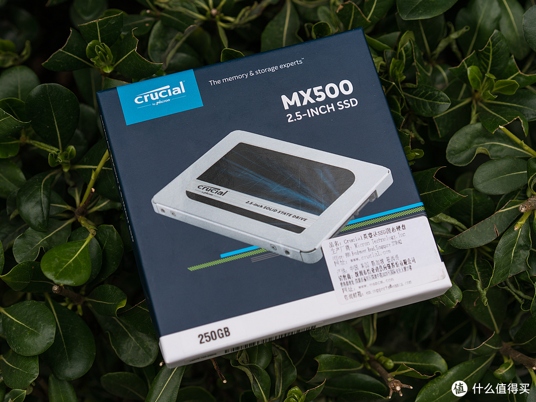 保五年，快上车：英睿达 Crucial MX500 250G固态硬盘上手评测