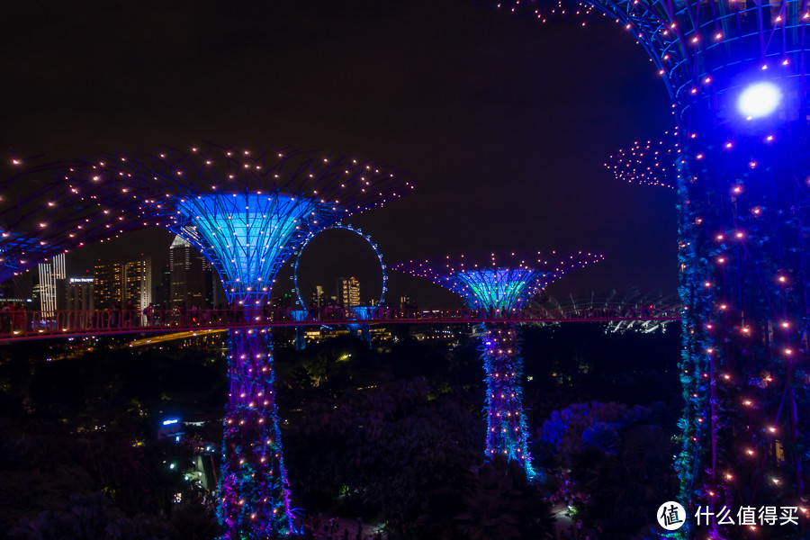 牵手旅行的第五年，我们开启了一段狮城新加坡的酒店和米其林之旅