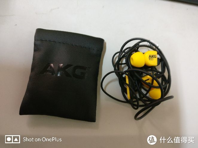 AKG Y20