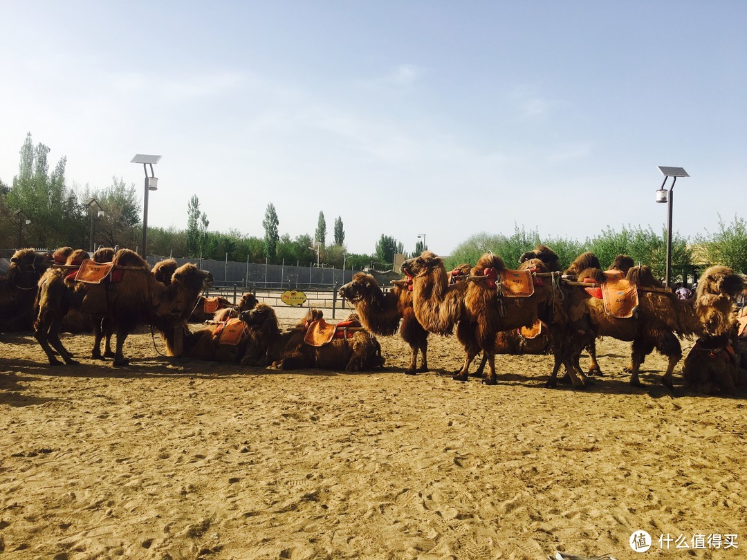 想去大草原的湖边：大西北丝绸之路半环线-7日轻松半自驾游