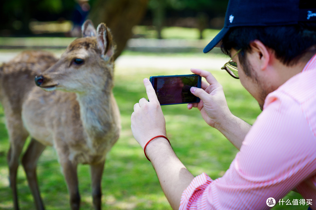 你的成长，有我陪伴—SONY 索尼 XPERIA XZ2日本亲子行摄之旅