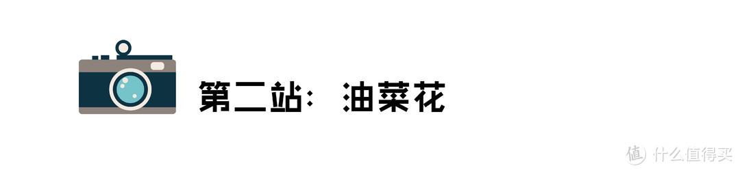 拍油菜花只拍到了人山人海？这里有一份云南航拍攻略